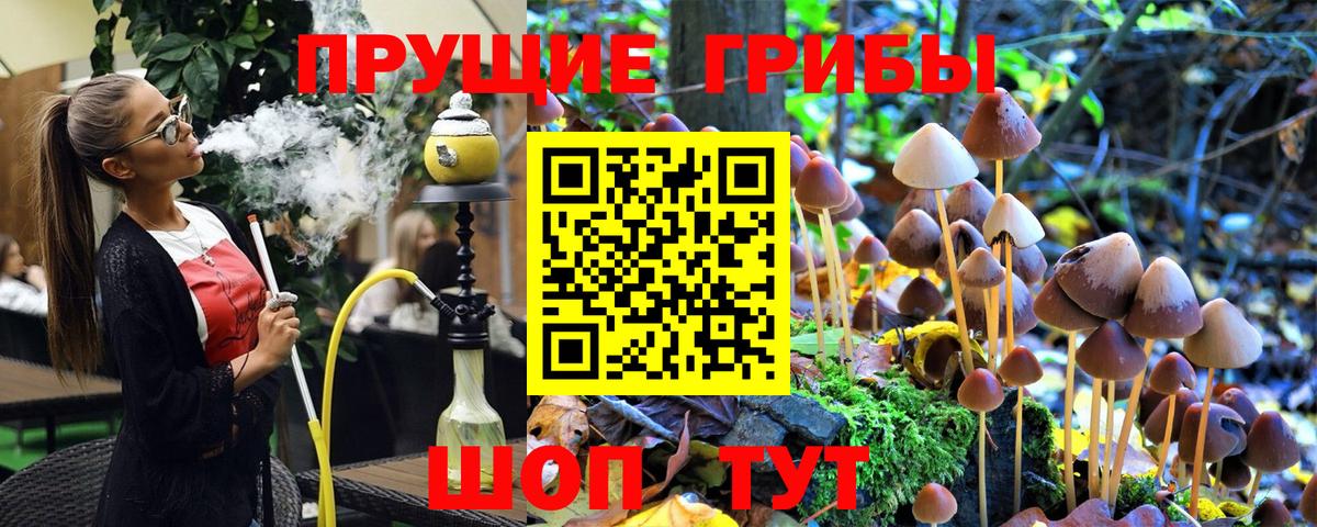 купить наркоту  Вход с VPN  Куйбышев  Галлюциногенные грибы MAGIC MUSHROOMS 
