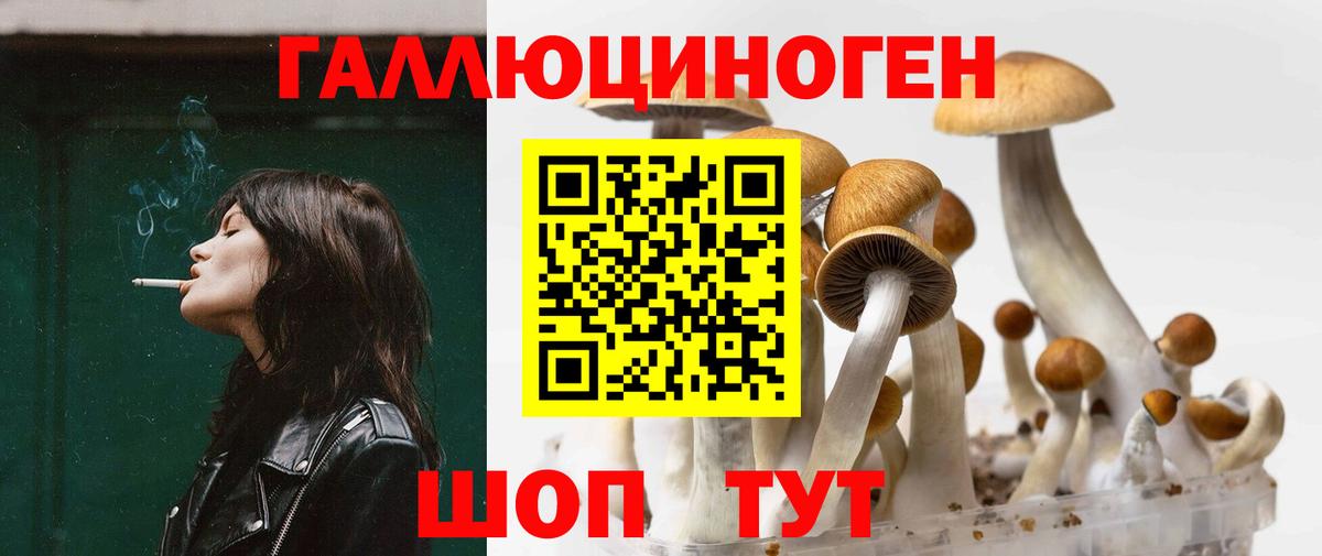 Псилоцибиновые грибы мухоморы Куйбышев